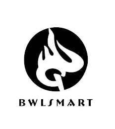 BWLSMART