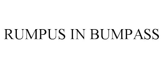 RUMPUS IN BUMPASS