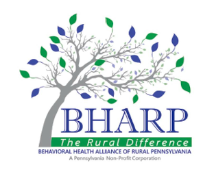 BHARP THE RURAL DIFFERENCE BEHAVIROAL HEALTH ALLIANCE OF RURAL PENNSYLVANIA A PENNSYLVANIA NON- PROFIT CORPORATION