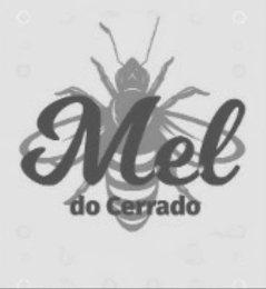 MEL DO CERRADO