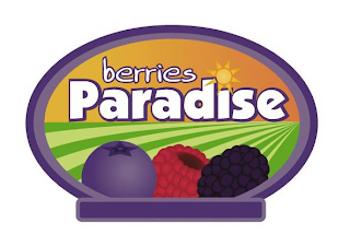 BERRIES PARADISE