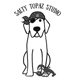 SALTY TOPAZ STUDIO