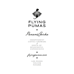 FLYING PUMAS · PANAMA GEISHA INDEPENDENT COFFEE GROWERS & HOSTS OF MEANINGFUL EXPERIENCES · FLYINGPUMAS.COM · LOS POZOS VOCAN PANAMA