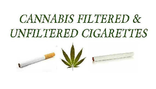 CANNABIS FILTERED & NONFILTERED CIGARETTES