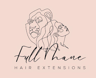 FULL MANE HAIR EXTENSIONS