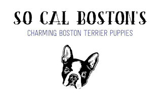 SO CAL BOSTON'S CHARMING BOSTON TERRIER PUPPIES