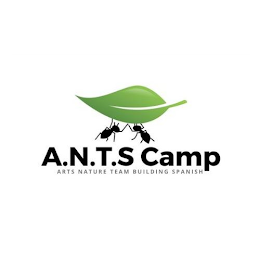 A.N.T.S. CAMP ARTS NATURE TEAM BUILDING SPANISH