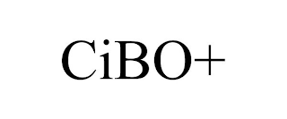 CIBO+