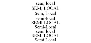 SEM; LOCAL SEM; LOCAL SEM; LOCAL SEMI-LOCAL SEMI-LOCAL SEMI-LOCAL SEMI LOCAL SEMI LOCAL SEMI LOCAL