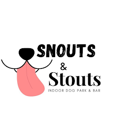 SNOUTS & STOUTS INDOOR DOG PARK & BAR