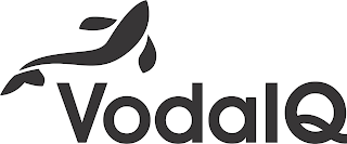 VODA IQ