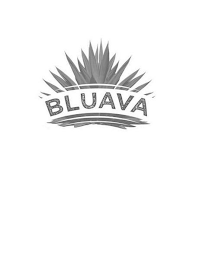 BLUAVA