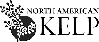 NORTH AMERICAN KELP