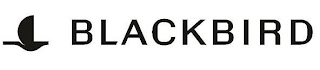 BLACKBIRD