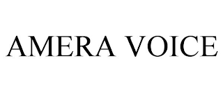 AMERA VOICE