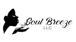 SOUL BREEZE LLC