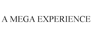 A MEGA EXPERIENCE