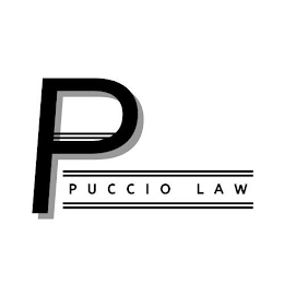 P PUCCIO LAW