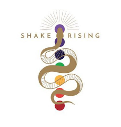 SHAKE RISING