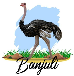 BANJULI