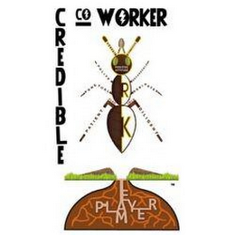 CREDIBLE CO WORKER TEAM PLAYER WORK