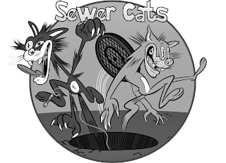 SEWER CATS