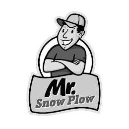 MR. SNOW PLOW