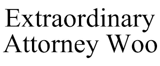 EXTRAORDINARY ATTORNEY WOO