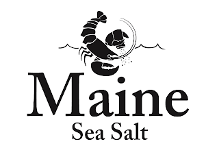 MAINE SEA SALT