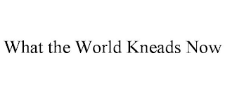 WHAT THE WORLD KNEADS NOW