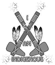 MN MN I AM INDIGENOUS MN MN