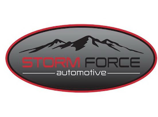 STORM FORCE AUTOMOTIVE