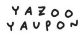 YAZOO YAUPON