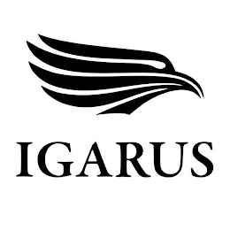 IGARUS