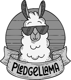 PLEDGELLAMA