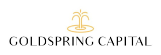 GOLDSPRING CAPITAL