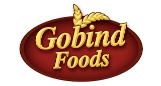 V GOBIND FOODS