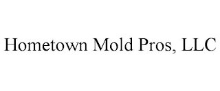 HOMETOWN MOLD PROS, LLC