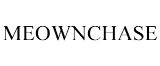 MEOWNCHASE