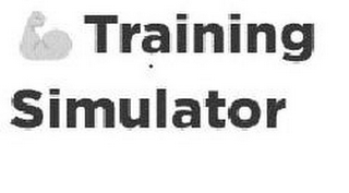 TRAINING SIMULATOR