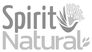 SPIRIT NATURAL