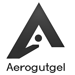 A AEROGUTGEL