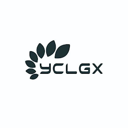 YCLGX