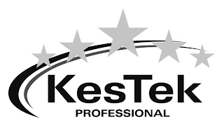 KESTEK PROFESSIONAL