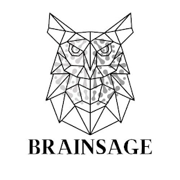 BRAINSAGE