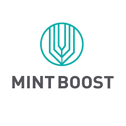 MINT BOOST