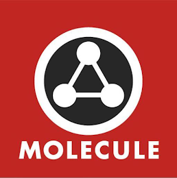 MOLECULE