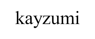 KAYZUMI