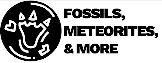 FOSSILS, METEORITES, & MORE