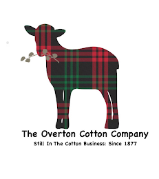 THE OVERTON COTTON COMPANY STILL IN THE COTTON BUSINESS: SINCE 1877